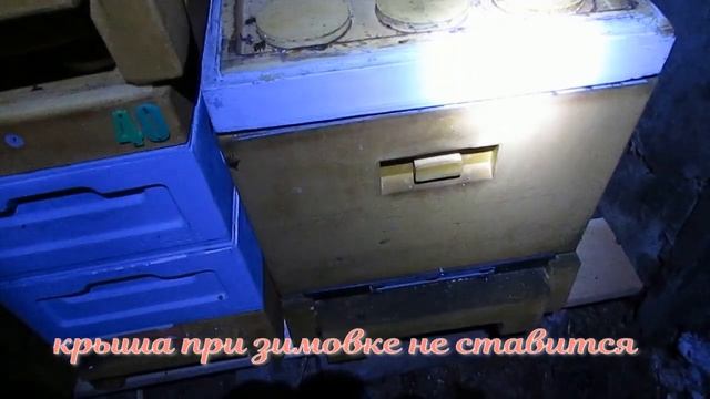 улей ППУ Нижегородец - советы по зимовке в улье Нижегородец в зимовнике смотреть онлайн