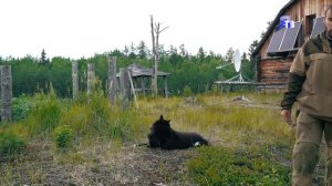 «Заповедник». Проект «Заповедный Ямал» продолжился в заповеднике «Верхне-Тазовский».