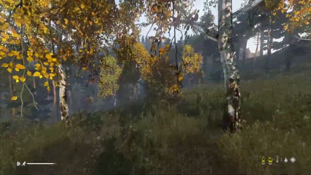 DayZ - How to Craft an Improvised Shelter using Sticks! (DayZ Survival Guide) смотреть онлайн