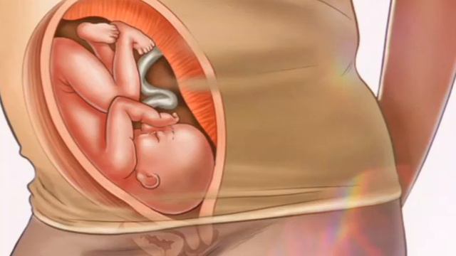 30 Haftalik Homila. Homiladorlikning O'ttizinchi Haftasi.