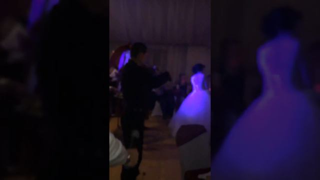 Живая скрипка Киров