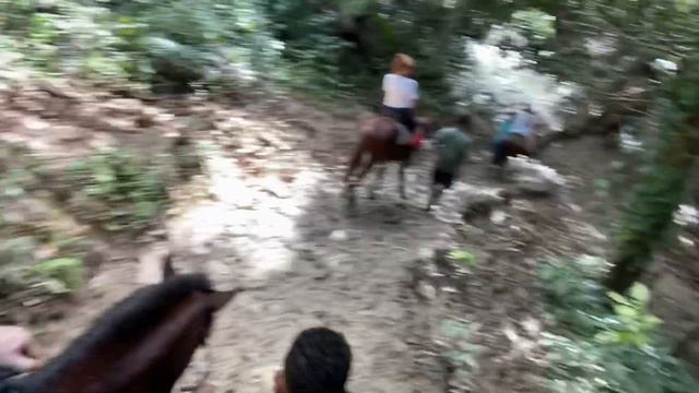 Dominicans Saona island, Samana смотреть онлайн