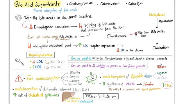 Lipid-Lowering Agents - Statin, Niacin, Fibrates, Cholestyramine,...etc - Pharmacology (Picmomic) смотреть онлайн