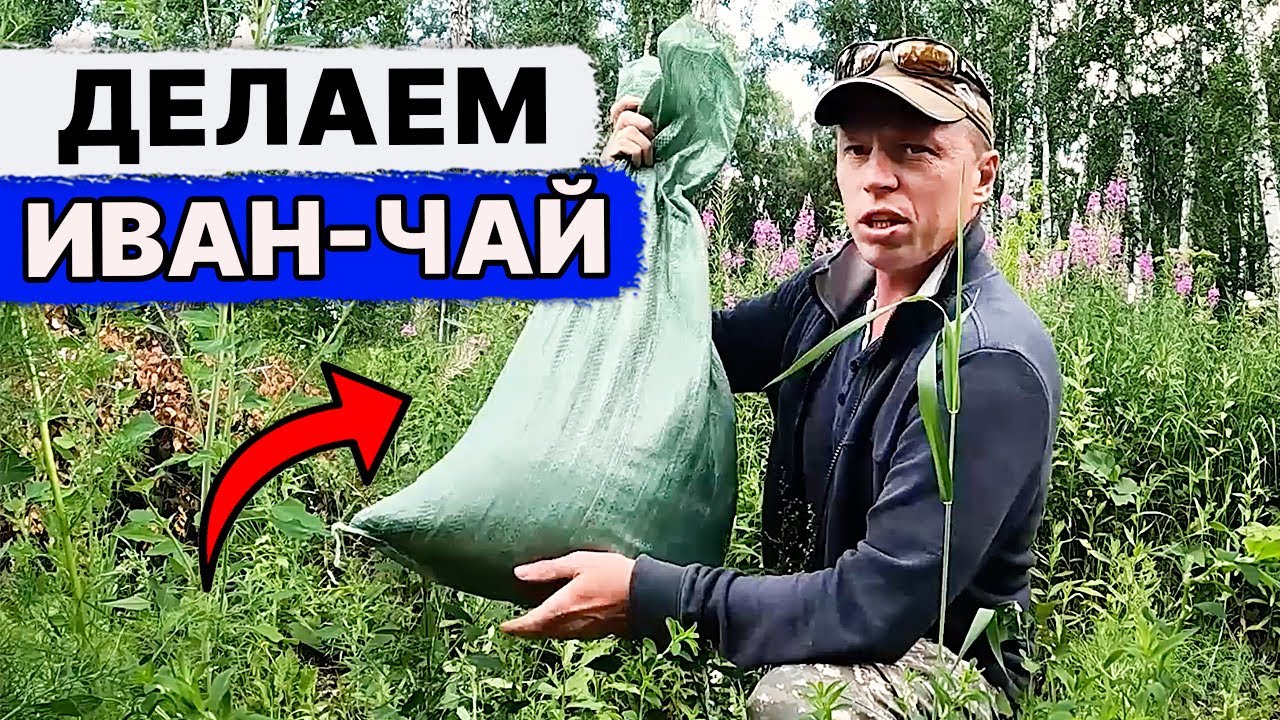 КАК Сделать ИВАН ЧАЙ. Уже МНОГО ЛЕТ делаю ТОЛЬКО ТАК! смотреть онлайн