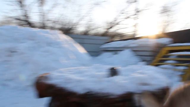 «ТЖ» ТЕРРИТОРИЯ СПАСЕНИЯ Бросили собачку в зоогостинице смотреть онлайн