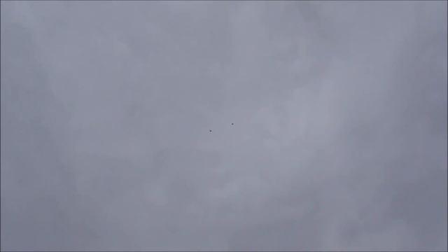 Голуби серпастые декабрь 2023.г. смотреть онлайн