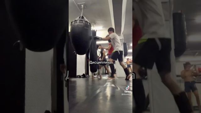 Бокс , кикбоксинг ? смотреть онлайн