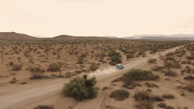 Purple Case Teaser Trailer (2022) смотреть онлайн