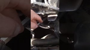 Где находится вин номер кузова и двигателя Рено Флюенс