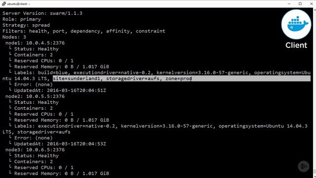 Native Docker Clustering - Custom Constraints смотреть онлайн