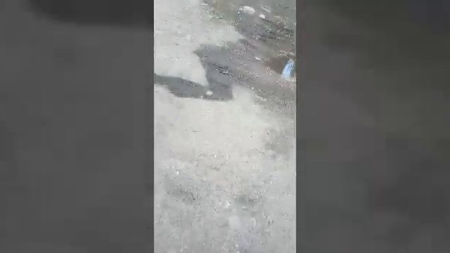 На меня напали бабки смотреть онлайн