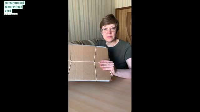 Мастер-класс Научный гербарий своими руками