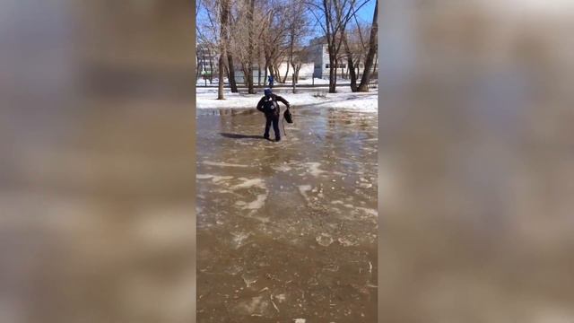 Приколы до слёз | Приколы с животными смотреть онлайн