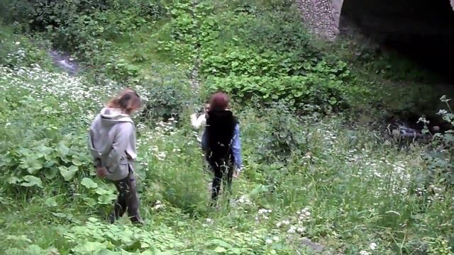 Пейзажный парк Александрия. Петергоф. смотреть онлайн