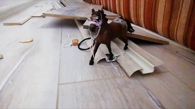 ?Horse-show? 3-СЕЗОН 5-ВЫПУСК (ЛОШАДЬ ПИНТО 2.0) смотреть онлайн
