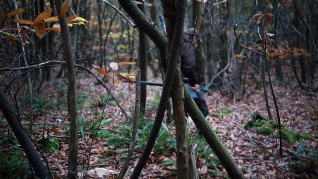 Охота с карабином на самца лани в Англии смотреть онлайн