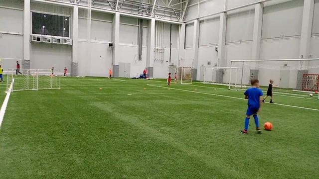 прямая трансляция тренировки смотреть онлайн