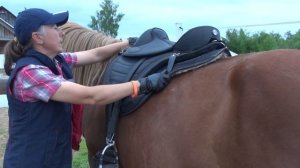 Как седлать лошадьКак седлать лошадь