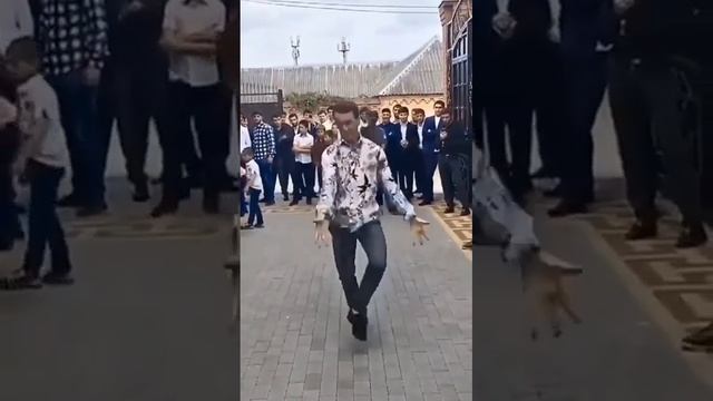 мой свадьба с парадом и день рождений смотреть онлайн