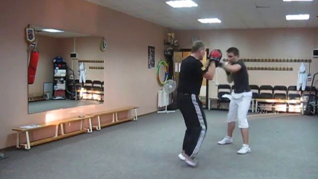 Бокс.Работа на лапах Boxing. Work on paws смотреть онлайн