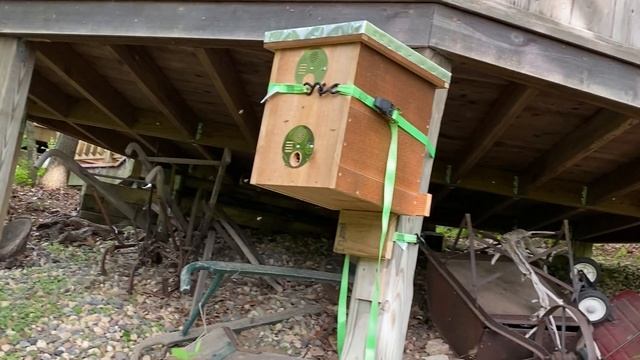 Layens 7 Frame Swarm Trap June 3, 2021 смотреть онлайн