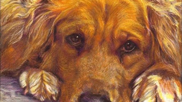 Художница Мария Зельдис смотреть онлайн
