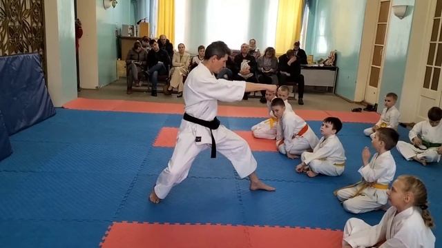 Ката Хейан Годан. Правильная форма движений ката. Семинар по каратэ. смотреть онлайн