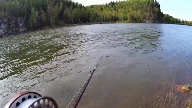 Первый пойман ?. Рыбалка на спиннинг на Реке Бия . Ловля тайменя. смотреть онлайн