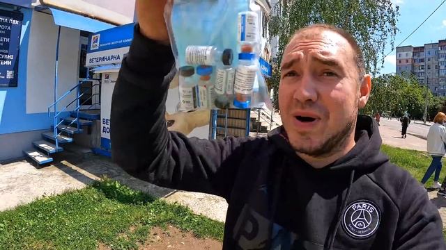 ЖЕСТЬ! ИСТЕРИКА У ХАСКИ НА ВАКЦИНУ ! Собака Плачет! смотреть онлайн