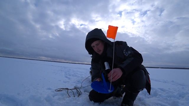 Ловля ОКУНЯ на ЖИВЦА.КРУПНЫЙ окунь на ЖЕРЛИЦЫ! смотреть онлайн