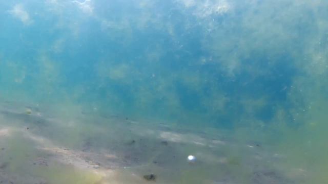 Подводная съёмка на пляже Джемете 25.08.2018 смотреть онлайн