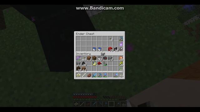 Minecraft Red Panda 24: A Roof and a Woof смотреть онлайн