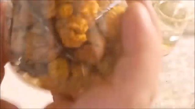 Делаем чернила по старинному рецепту из двух древесных болезней и горсти гвоздей смотреть онлайн