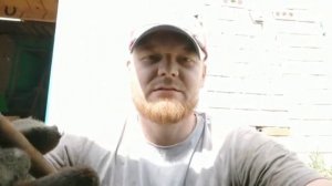 Seat Altea (Golf 5 plus) замена передних стоек амортизатора в сборе от Golf 6 с ППД.