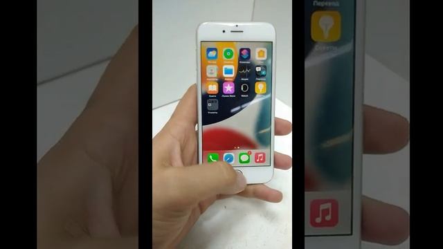 Видео №289565