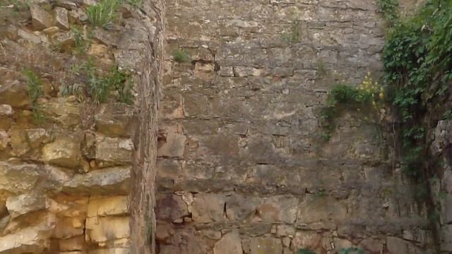 Феодосийские около-башенные "страдания" смотреть онлайн