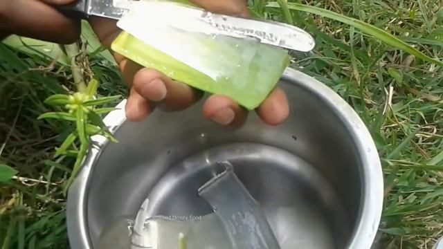 Cleaning Fresh Aloe Vera + Making Juice in My Village - Healthy Juice - Food Money Food смотреть онлайн