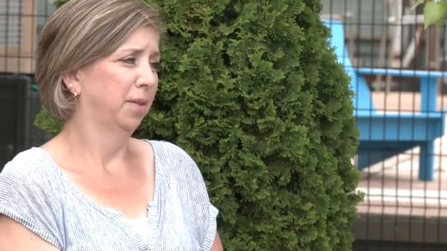 Anoka Family Witnessed & Helped Woman Gored By Bison At Yellowstone National Park смотреть онлайн