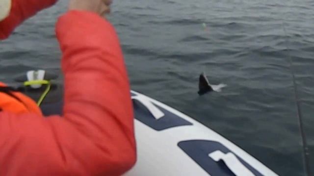ловля глубоководной гигантской камбалы смотреть онлайн