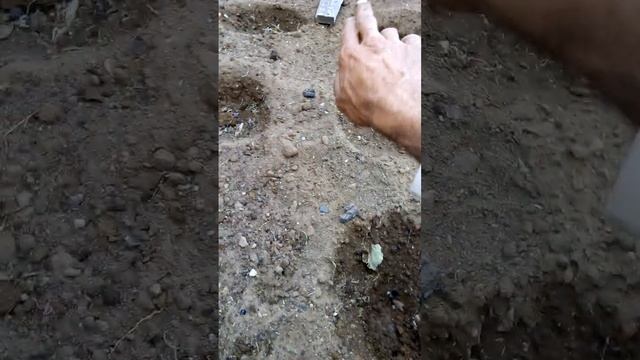 защита табака от солнечных ожогов. Посадка в жару. смотреть онлайн