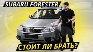 Subaru Forester. Все "ЗА" и "ПРОТИВ" | Подержанные автомобили