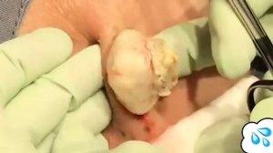 ЖИРОВИКИ № 27