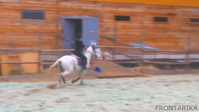 КАК НЕ НАДО ГАЛОПАТЬ || F R O N T A R I K A смотреть онлайн