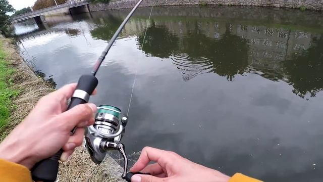 Закилошным голавлям понравился этот воблер.Ловля голавля,щуки и окуня в центре города.Попался Язь! смотреть онлайн