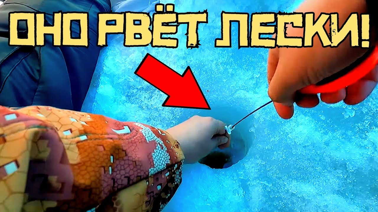 МОРСКИЕ КОНИ ОШАЛЕЛИ! Последний лед УДИВИЛ КРУПНЯКОМ! Рыбалка 2023 смотреть онлайн