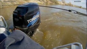 Работа четырехтактного лодочного мотора Tohatsu MFS 30 EPTS