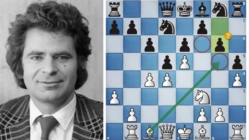 Борис Спасский проводит красивую атаку на короля Сейравана! Шахматы.