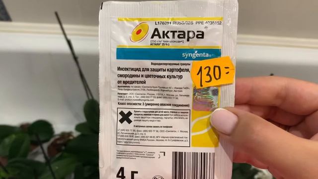 Борьба с трипсом на орхидеях