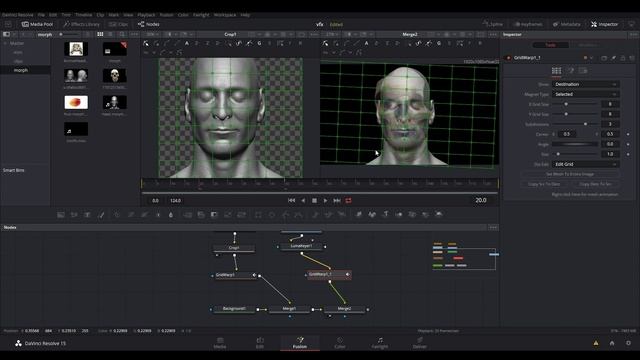 Blackmagic Resolve Morph