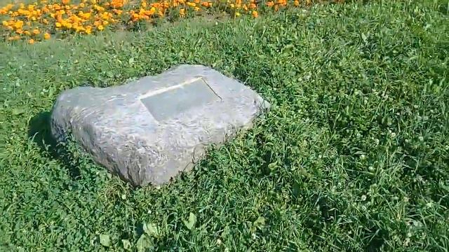 Пёс Тотоша в речке и у камня после купания и красота цветущих клумб смотреть онлайн